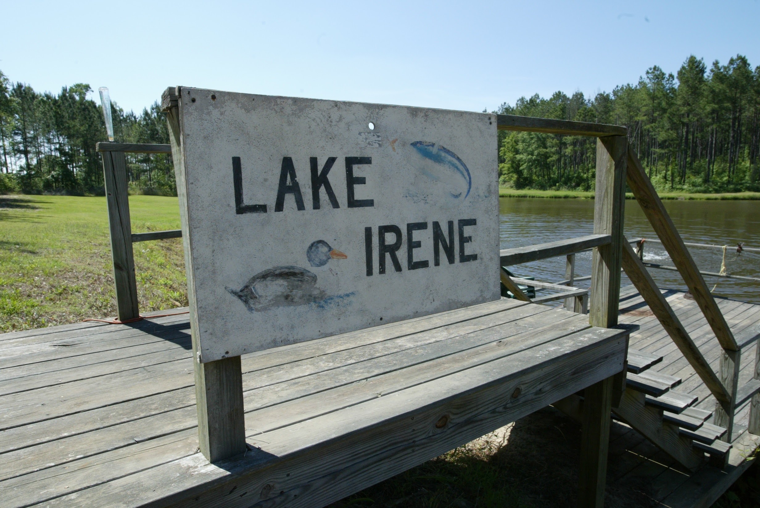 Ashlee Crews, Georgia, Southern Women Writers
